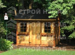 004.Шинглас "Соната" - 0